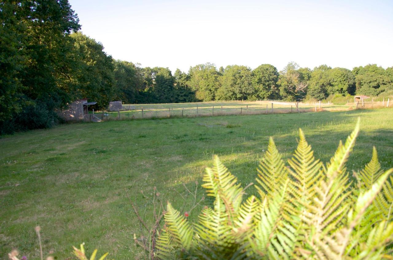 Gite Le Champ Libre Dompierre-Sur-Yon Esterno foto