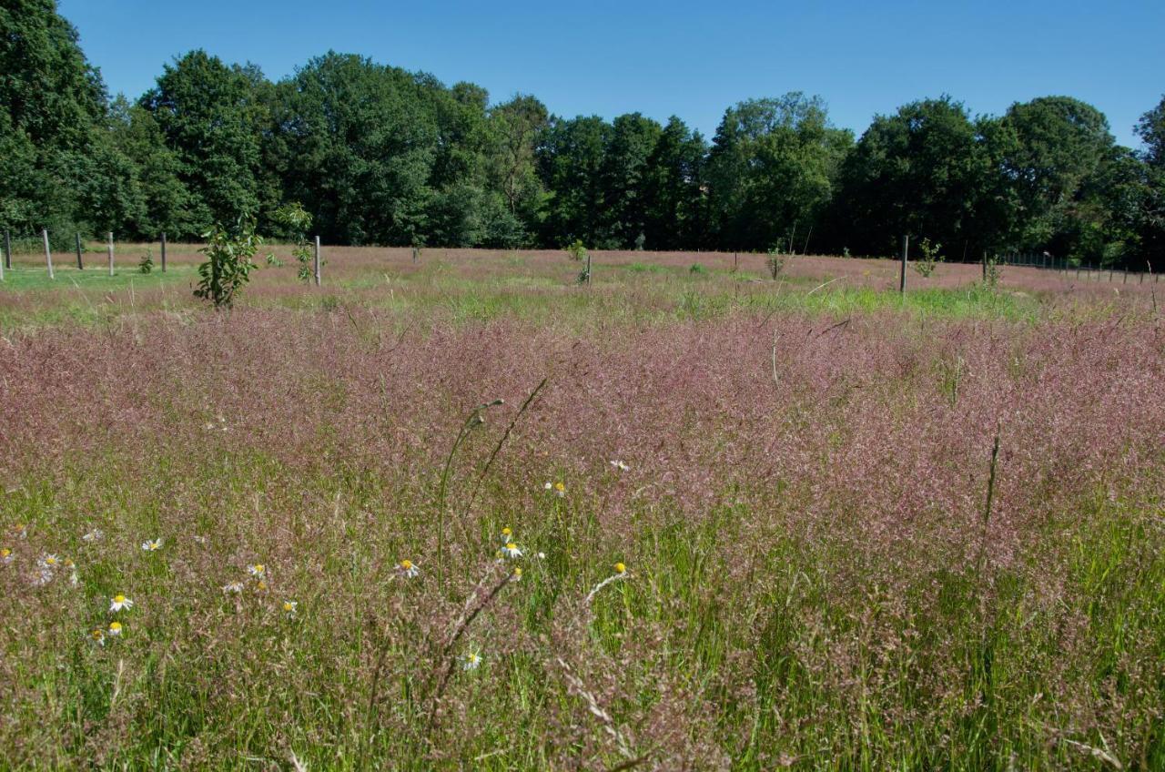 Gite Le Champ Libre Dompierre-Sur-Yon Esterno foto